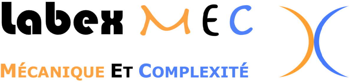 Labex Mécanique et complexité : Labex Mec